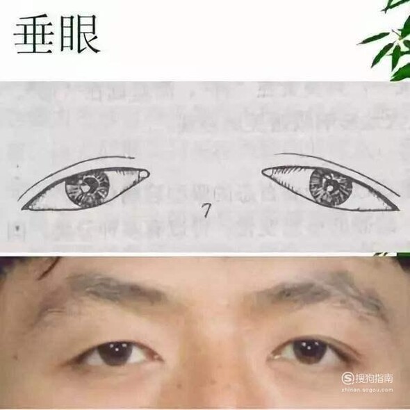 常见眼形有哪几种?