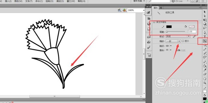 简笔画：如何使用Flash绘制出康乃馨