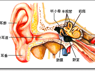 怎么进行孩子的前庭觉训练