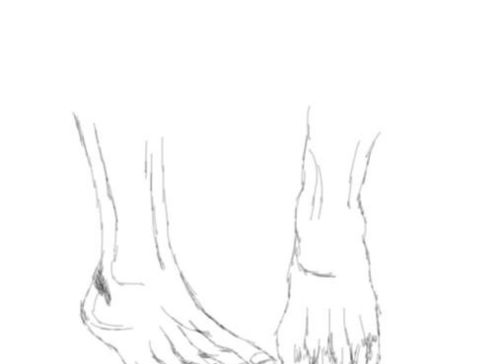 动人的脚部就画好了,如图所示:07再在右脚脚踝上画出动漫人物的脚掌