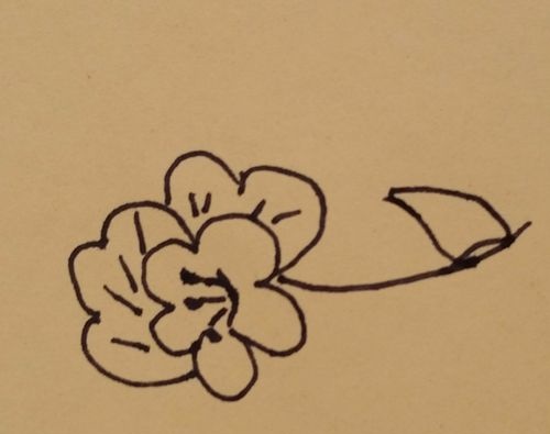 如何教小朋友画花朵简笔画海棠花画法