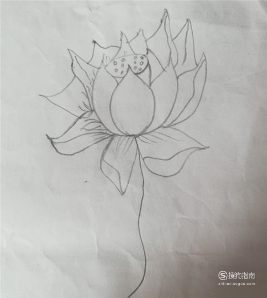 如何画简易的莲花