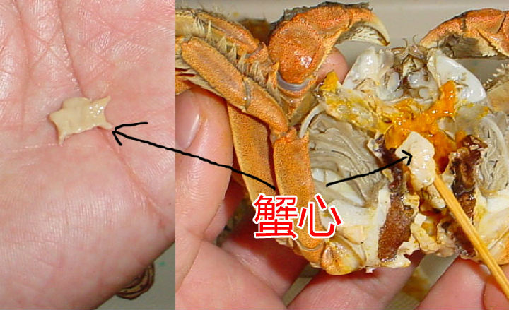 螃蟹哪些部位不能吃
