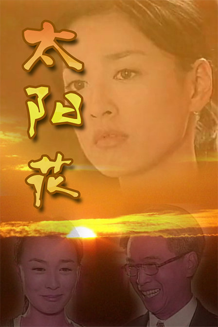 《太阳花》全集-电视剧-在线观看