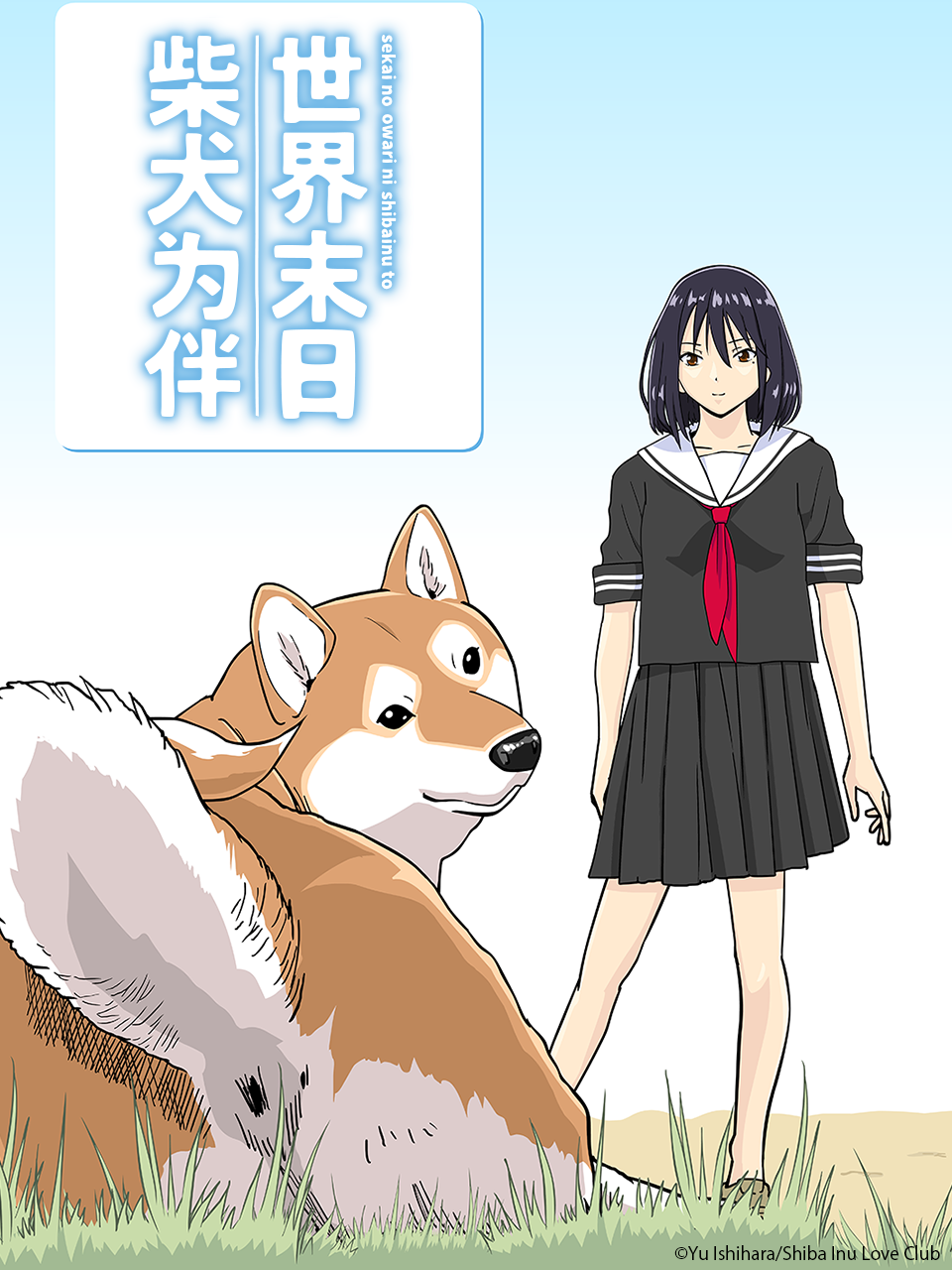 世界末日柴犬为伴