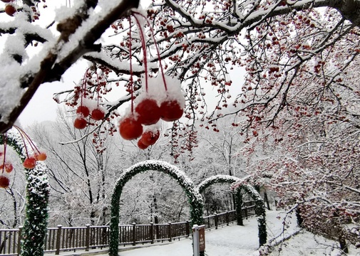 沂蒙山迎来今冬首雪 银装素裹 美不胜收(4) 第4页