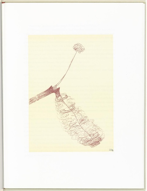 路易丝·布尔乔亚-Untitled, plate 8 of 10, from 第1页