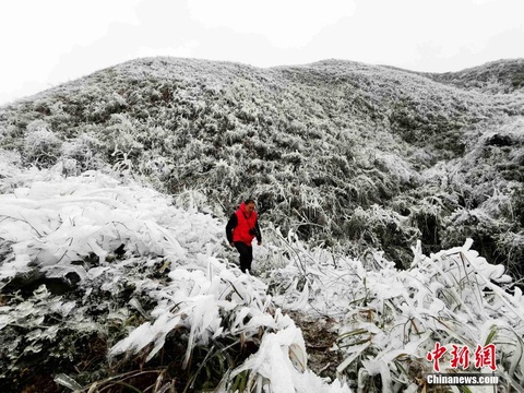 广西环江万亩草甸出现雾凇景观(6) 第6页