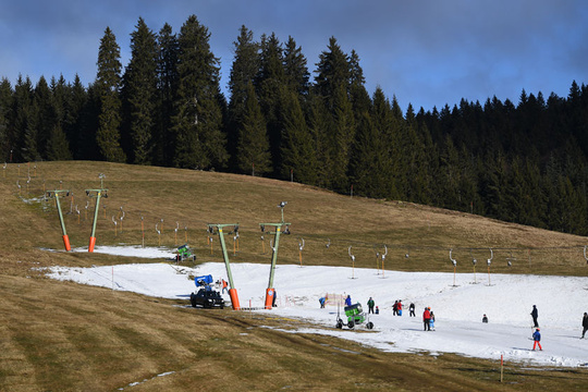 德国黑森林地区今冬或无雪 当地滑雪场无雪可滑 第1页