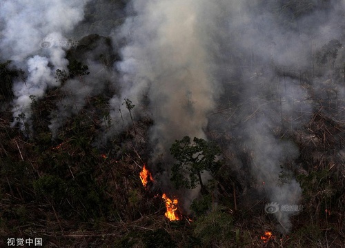 巴西亚马孙雨林大火持续 现场浓烟滚滚(5) 第5页
