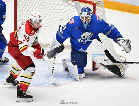 KHL万科龙客胜雪豹献礼国庆 第1页