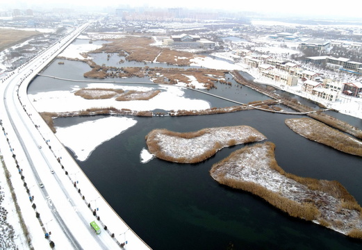 甘肃张掖:雪落湿地景色美(4) 第4页