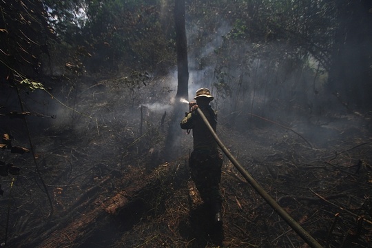 印尼多处林火致空气污染 民众戴口罩出门 第1页