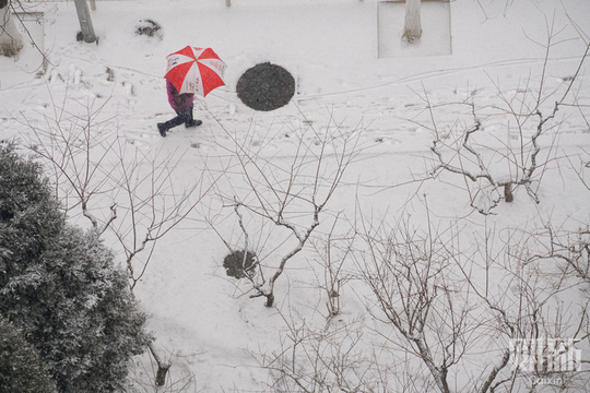 北京降雪节后“开工” 雪中京城银装素裹(22) 第22页