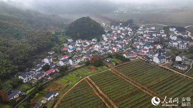 池州罗城村:文旅助农奔小康 第1页