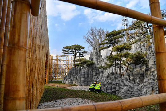 世园会园区 花木生机勃勃美景初现(16) 第16页