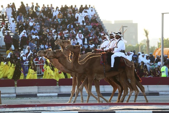 卡塔尔举行国庆日阅兵典礼 警察骑骆驼上阵 第1页