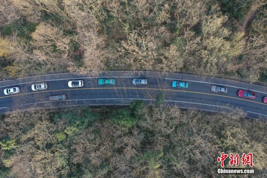 浙江旱情持续 多地发布森林火险气象预警 第1页