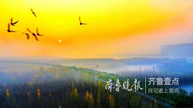 早起瞰黄河 轻雾缭绕朝阳升(2) 第2页