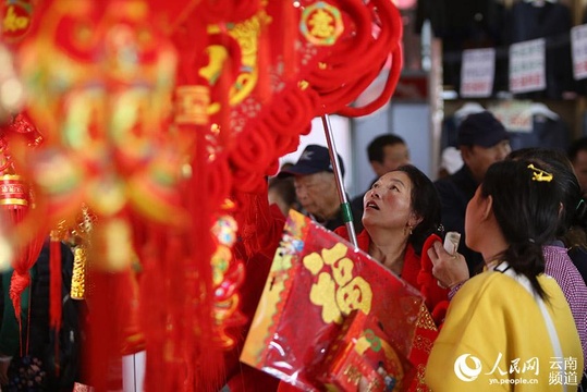 昆明:欢乐祥和迎新春(组图)(4) 第4页