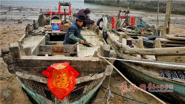 三月惊蛰 青岛海边地头一片繁忙景象(4) 第4页