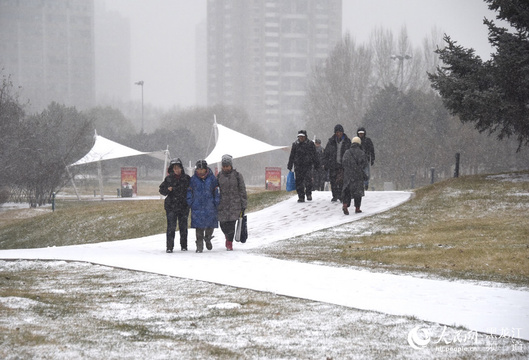 哈尔滨市迎来立冬后首场降雪 跟随镜头感受北国冰雪风光(2) 第2页