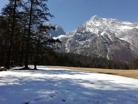 高清:云南丽江古城、玉龙雪山恢复接待游客(13) 第13页