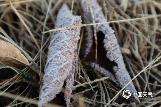 霜降时节海拉尔霜花遍野 河面结冰(10) 第10页