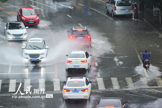 大连市遭遇雷雨大风天气(4) 第4页