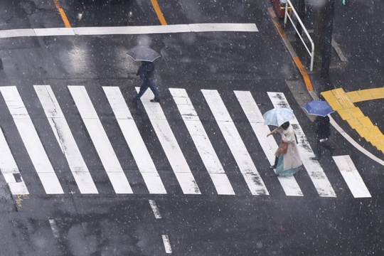 东京三月降雪 城市行人鲜少(3) 第3页