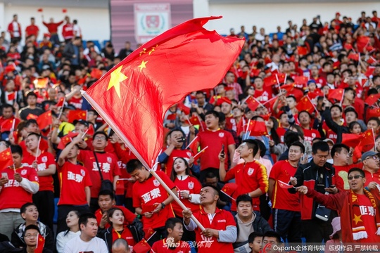 喜迎国庆!亚泰主场成国旗海洋(4) 第4页