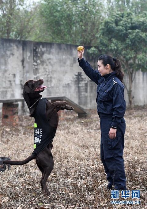 一个“警犬妈妈”的十年春运坚守(5) 第5页