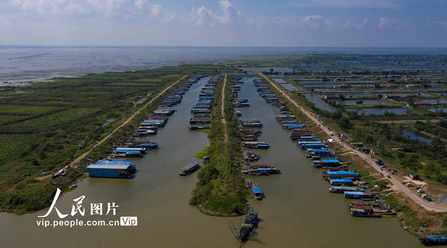 江苏泗洪:启动洪泽湖禁捕退捕 保护洪泽湖生态 第1页