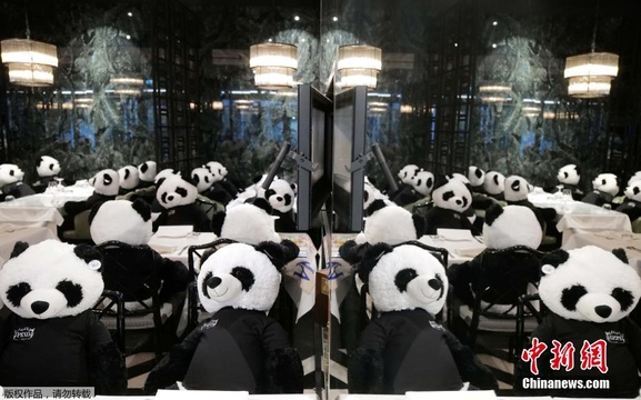 德国持续“封城” 餐厅老板摆满大熊猫玩偶当顾客(3) 第3页