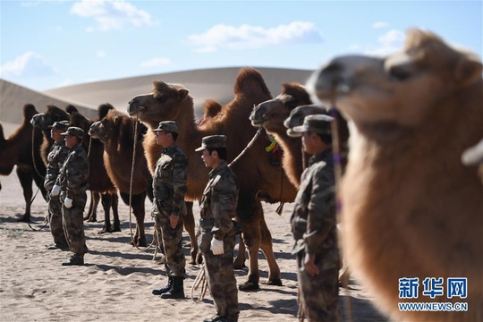 大漠驼兵--边防民兵驼兵排民兵进行应用训练(3) 第3页