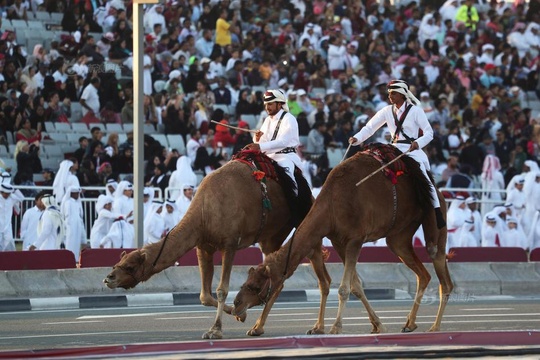 卡塔尔举行国庆日阅兵典礼 警察骑骆驼上阵(2) 第2页