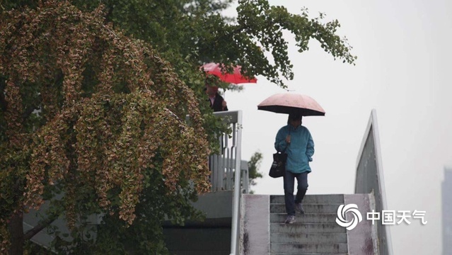 北京今晨小雨飘落 凉意浓(5) 第5页