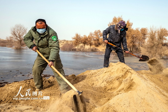 新疆尉犁:生态输水为荒漠植被“解渴”(6) 第6页