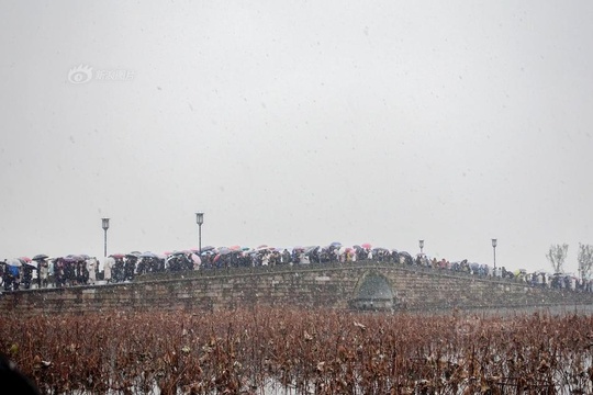 杭州降雪 西湖断桥又现“人山人海”(5) 第5页