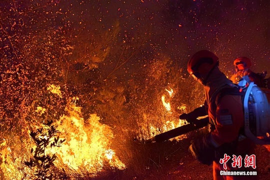 福建森林消防连夜鏖战扑灭森林火灾(8) 第8页