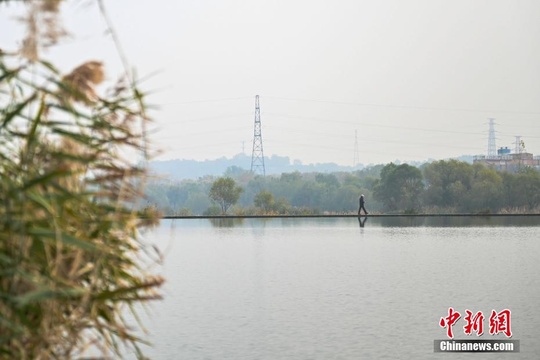 北京冬奥公园秋景吸引市民(3) 第3页