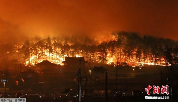 韩国山火逾4千人疏散 森林成片燃烧火光冲天 第1页
