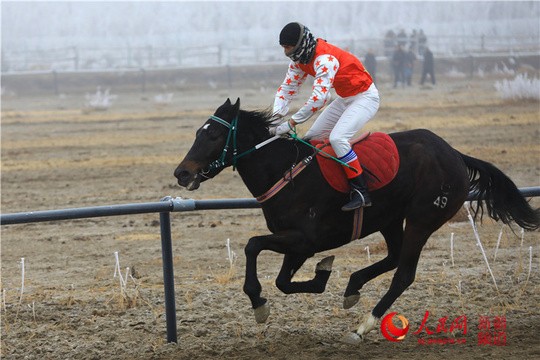 新疆:马背上的“速度与激情”(组图) 第1页