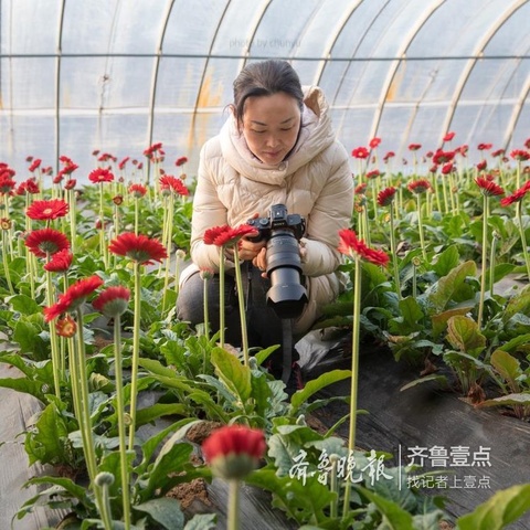 诸葛镇的扶贫大棚里 草莓甜花儿艳(6) 第6页