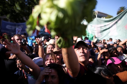 阿根廷农民分发蔬菜 抗议农产品价贱 第1页