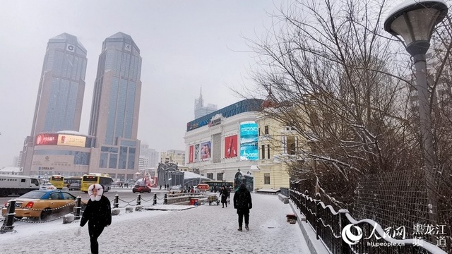 哈尔滨飘落2020年首场降雪 雪后降温(4) 第4页