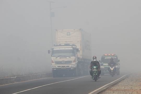 印尼多处林火致空气污染 民众戴口罩出门(3) 第3页