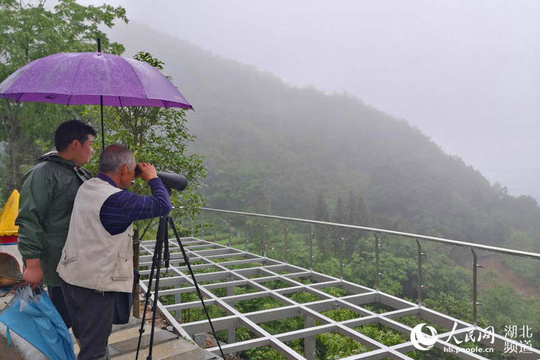 湖北恩施市:干部群众积极应对暴雨灾害(2) 第2页