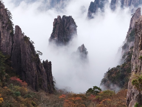 雨后黄山 青松争奇烟云万象 第1页