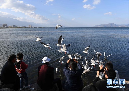 【高清】云南大理:洱海景色秀丽 第1页